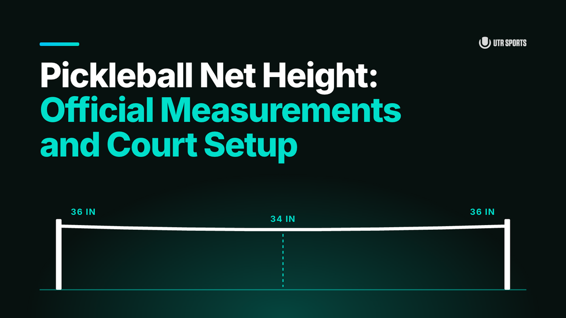 Image of a pickleball net and its dimensions 